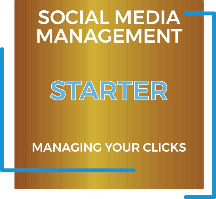 Social Media Marketing Package | STARTER