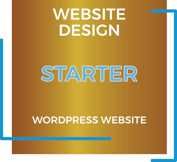Website Design Package | STARTER